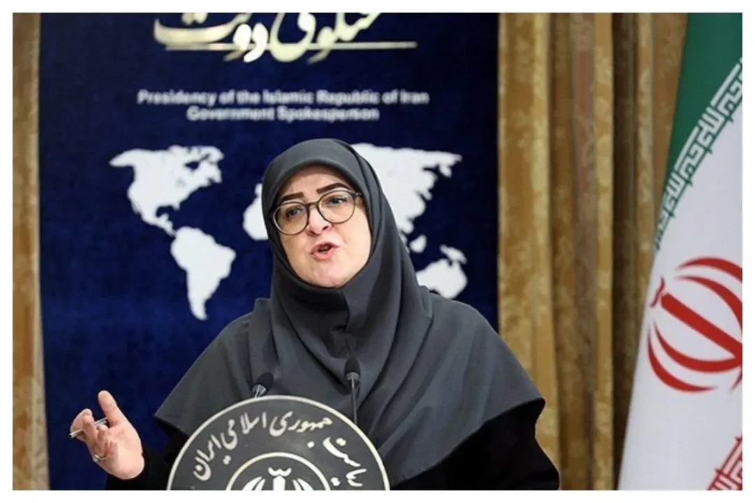 سخنگوی دولت: اضافه برداشت بانک آینده متوقف شده است سخنگوی دولت: اضافه برداشت بانک آینده متوقف شده است