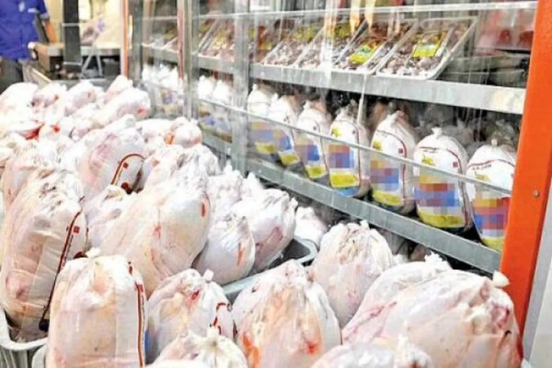 قیمت روز مرغ در بازار؛ هر کیلو چقدر شد؟ قیمت روز مرغ در بازار؛ هر کیلو چقدر شد؟