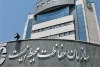 آتش جنگ بر پیکر طبیعت ایران؛ نابودی هزاران هکتار جنگل و مرتع در حملات اخیر