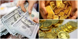 آخرین قیمت دلار، طلا و یورو و انواع ارز برای امروز یکشنبه ۲۹ شهریور ۱۴۰۵